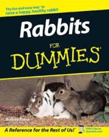 Rabbits for Dummies