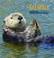 Sea Otters 2017 Wall Calendar