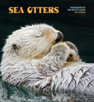 Sea Otters 2021 Wall Calendar