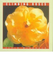 Climbing Roses