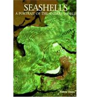 Seashells: A Portrait of the Animal World