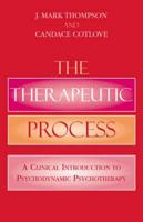 The Therapeutic Process: A Clinical Introduction to Psychodynamic Psychotherapy