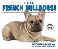 I Like French Bulldogs!