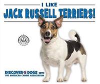 I Like Jack Russell Terriers!