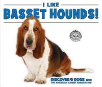 I Like Basset Hounds!