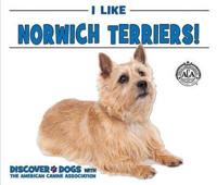 I Like Norwich Terriers!