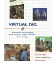 Virtual Dig