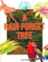 A Rain Forest Tree