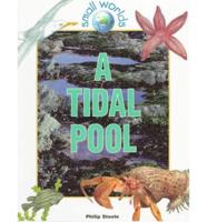 A Tidal Pool