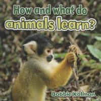 How and What Do Animals Learn?