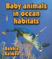 Baby Animals in Ocean Habitats