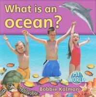 What Is an Ocean?