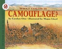 What Color Is Camouflage?