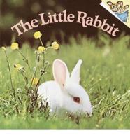 The Little Rabbit