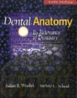 Dental Anatomy