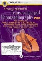 A Practical Approach to Transesophageal Echocardiography on PDA