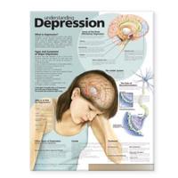 Understanding Depression Anatomical Chart