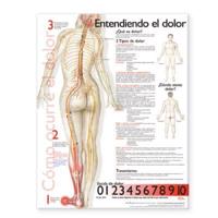 Understanding Pain Anatomical Chart in Spanish