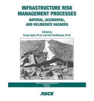 Infrastructure Risk Management Processes