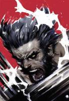 Wolverine: Soultaker TPB