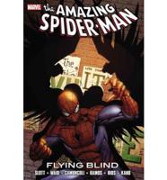 Spider-Man: Flying Blind