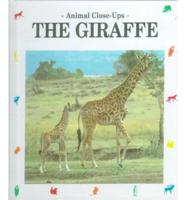 The Giraffe