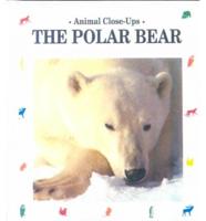 The Polar Bear, Master of the Ice