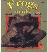 Frogs and Toads