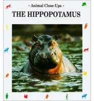 The Hippopotamus, River Horse