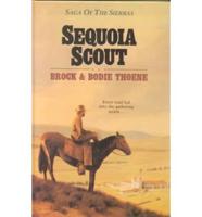 Sequoia Scout