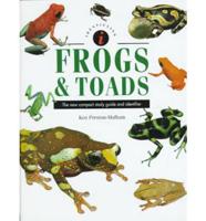 Frogs & Toads