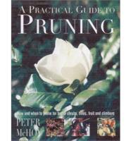 A Practical Guide to Pruning