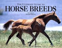 The Ultimate Guide to Horse Breeds