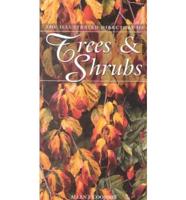 The Illustrated Directory of Trees & Shrubs