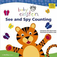 See & Spy Counting