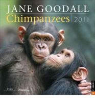 Jane Goodall Chimpanzees 2011 Calendar