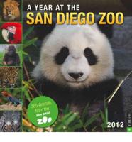 Year at the San Diego Zoo 2012 Calendar