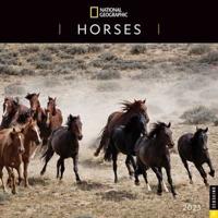 National Geographic: Horses 2023 Wall Calendar