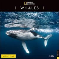 National Geographic: Whales 2024 Wall Calendar