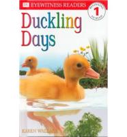 Duckling Days