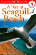 A Day at Seagull Beach