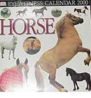 Horse Eyewitness Calendar 2000