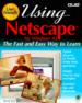 Using Netscape