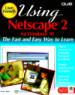 Using Netscape 2 for Windows 95