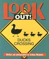 Look Out (Sat Sml USA)