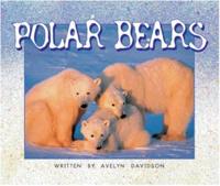 Polar Bears (Level 8)