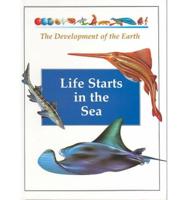 Life Starts in the Sea