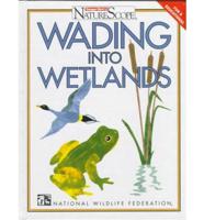 Wading Into Wetlands