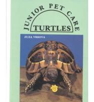 Junior Pet Care: Turtles