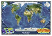 World Satellite Flat